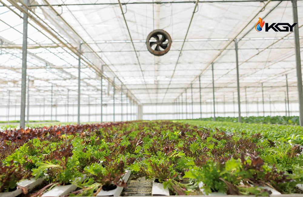 سیستم تهویه گلخانه greenhouse ventilation system